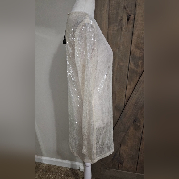 NASTY GAL Sheer Sequin Detail Long Sleeve Mini Shift Dress Off White.Size 4 NWT - Picture 9 of 15